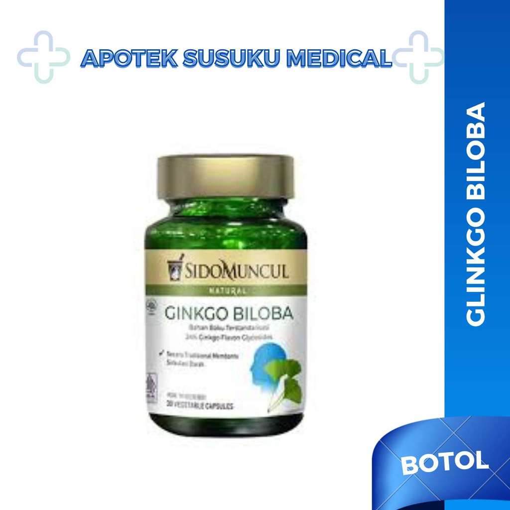 GINKGO BILOBA JAMU SIDOMUNCUL