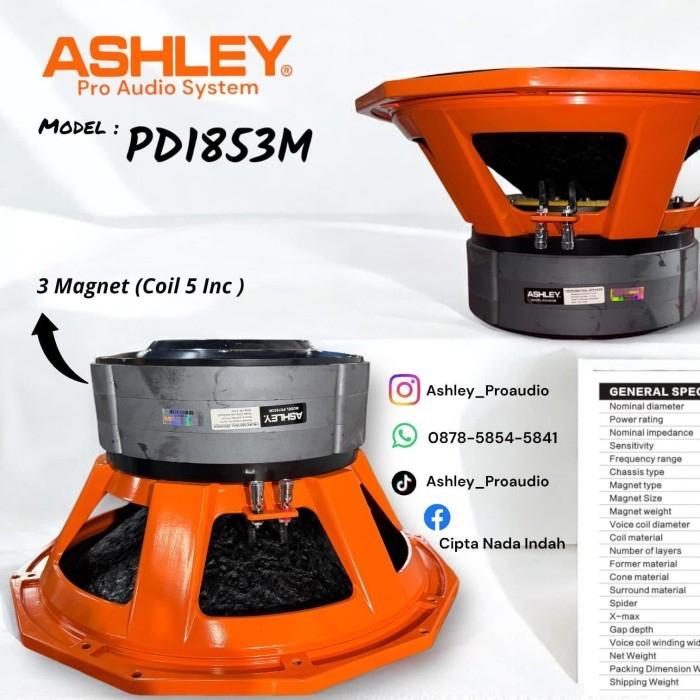 Speaker Ashley 18 inc PD1853M ( 3 Magnet Coil 5 inc )