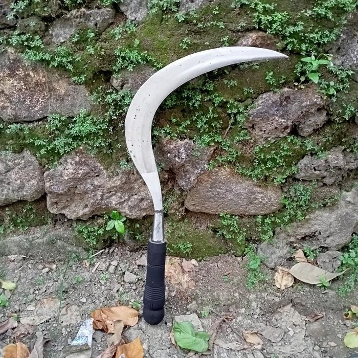 arit sabit rumput clurit madura cap bintang 5