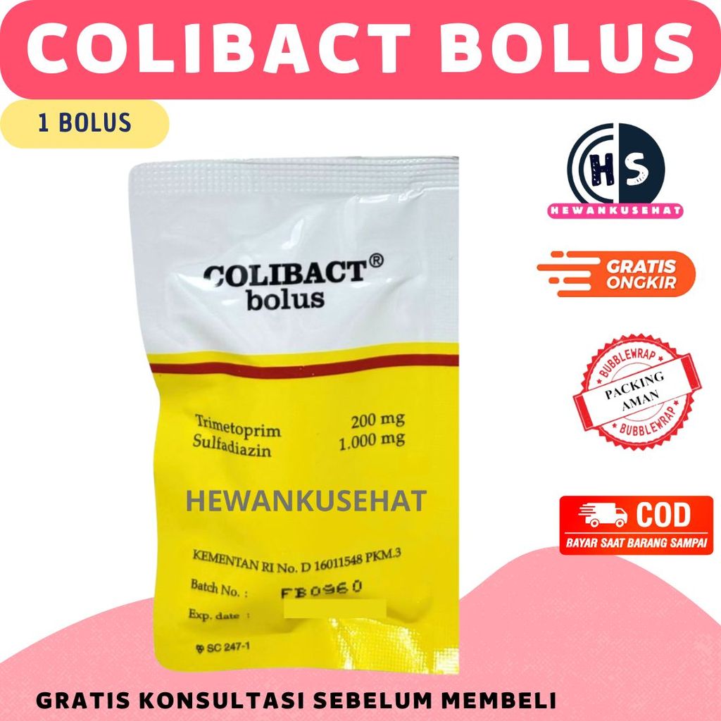 (ECERAN/PER-BOLUS) COLIBACT BOLUS (1 BOLUS) - SANBE