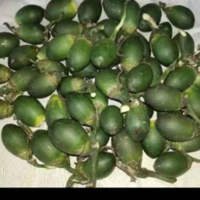 Buah pinang jambe muda 1 kg buah pinang muda segar