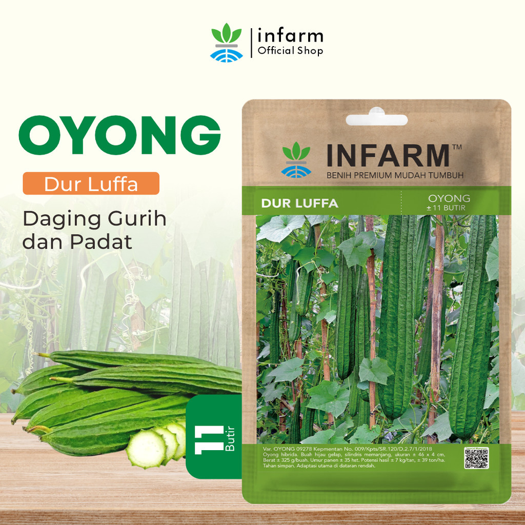 Benih Buah Oyong Hibrida Durluffa, Bibit Buah Oyong Unggul Bibit Sayuran Oyong Super INFARM
