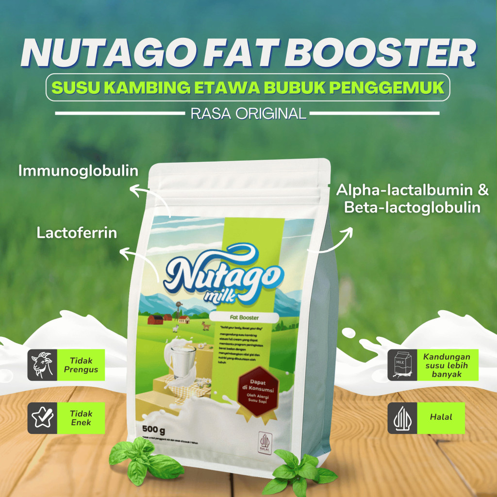 (Hivaro) NUTAGO Susu Kambing etawa Bubuk Fat Booster 500gram organik alami Penggemuk Penambah Berat 