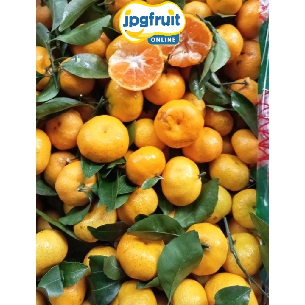 [Instant] Indukbuah Buah Jeruk Santang Daun Manis Seger 1 Keranjang/Krat Sameday/JPGFruit