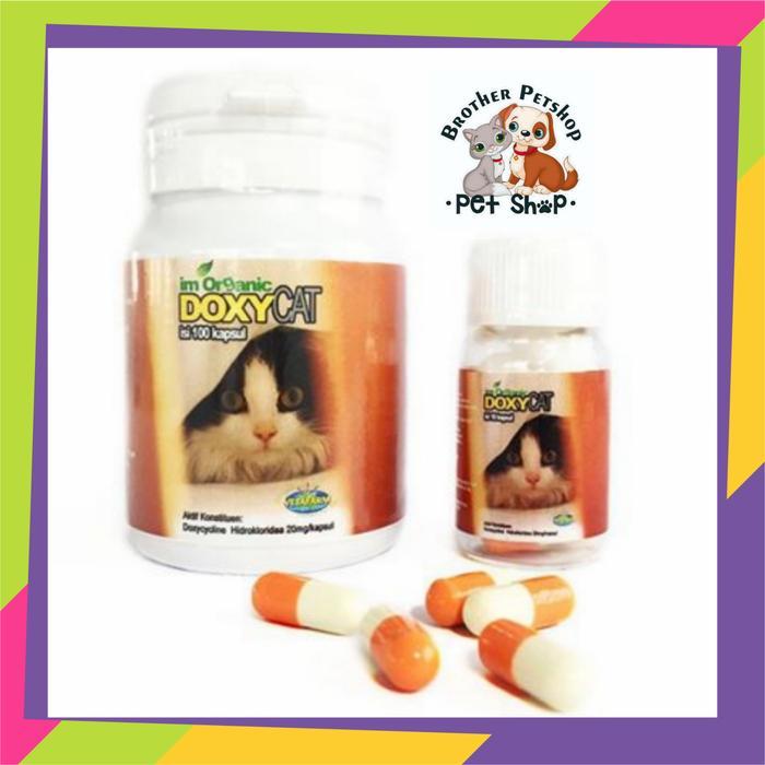 Obat Flu Kucing Doxy Cat 1 Btl 100capsul DoxyCat Im Organic Antibiotik