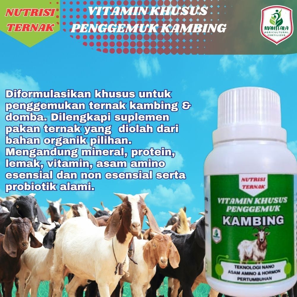 Vitamin Khusus Kambing Biar Gemuk Obat Penggemuk Kambing Domba Obat Nafsu Makan Kambing Domba  Obat 