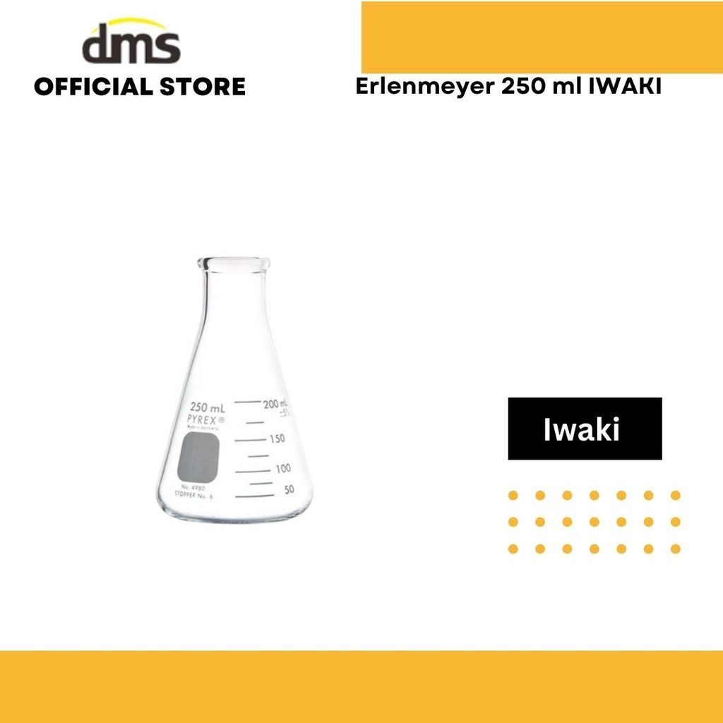 Erlenmeyer 250 ml IWAKI