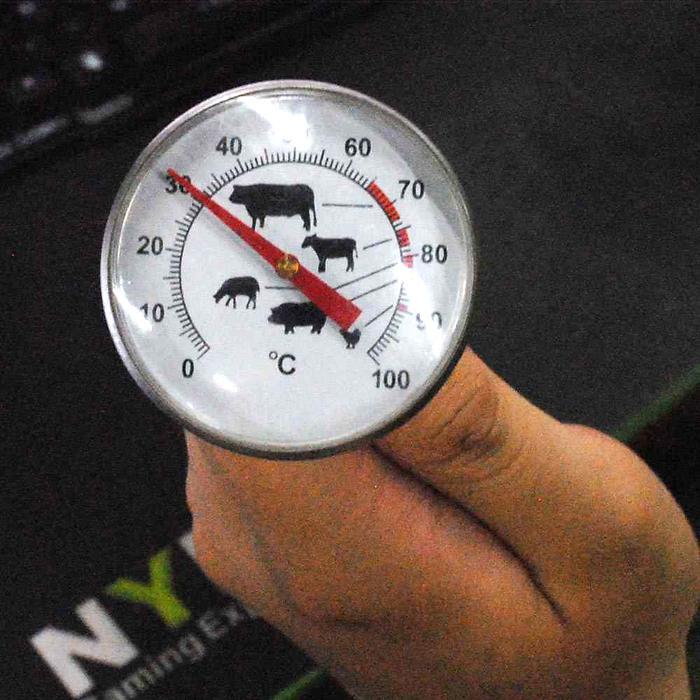 Termometer Daging Panggang dan Oven Besi Stainless Steel