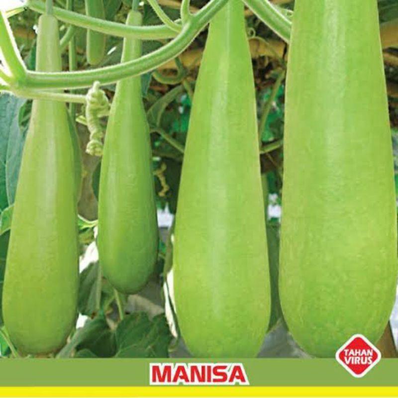 50+5 Biji /Benih Labu Air MANISA | Benih Labu Air | Benih Sayuran