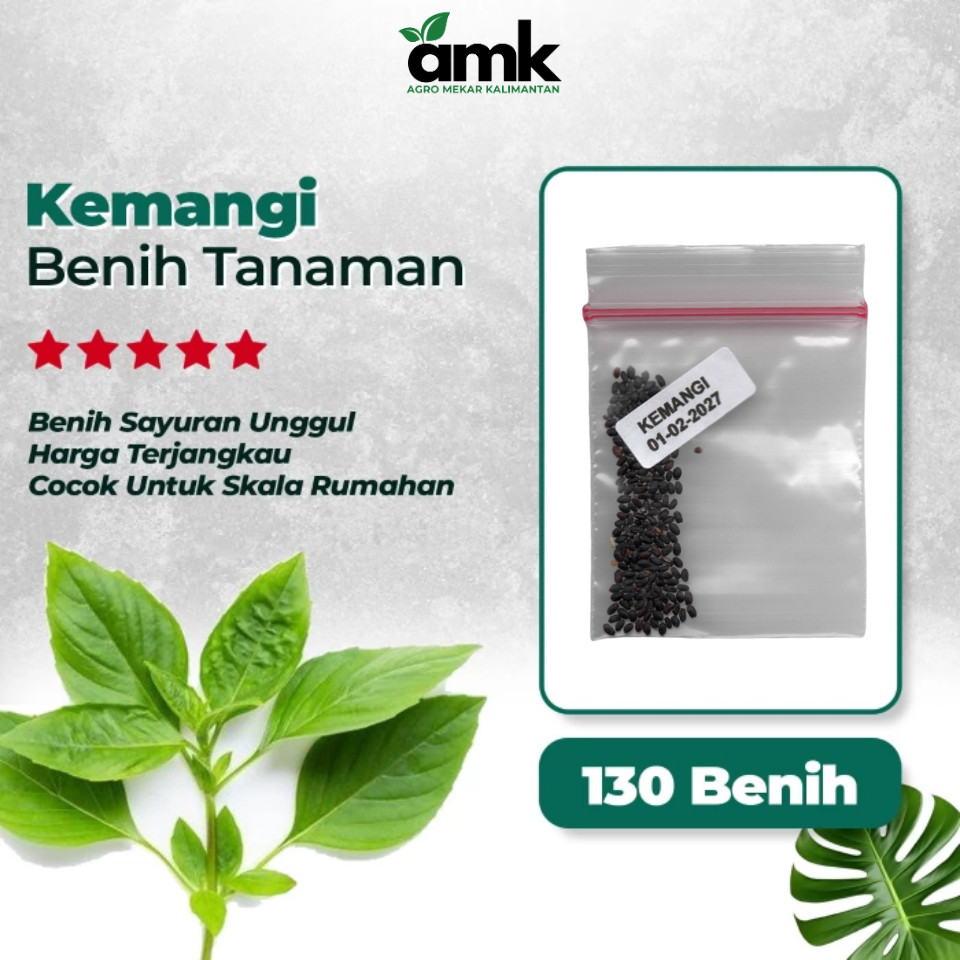 Benih Bibit KEMANGI LEMON BASIL - Agro Mekar Kalimantan