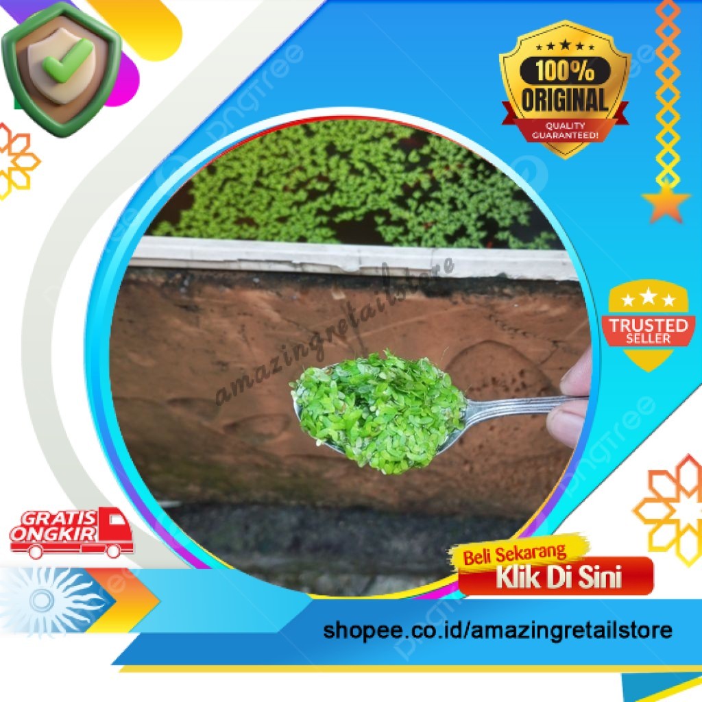 Tanaman Air Lemna / Mata Lele / Duckweed | Per 1 Sendok | Pakan Alternatif | ARSppp