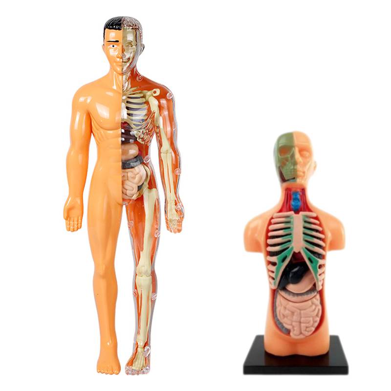 Kaos distro umakuun galihuman umakunatomy umakuun