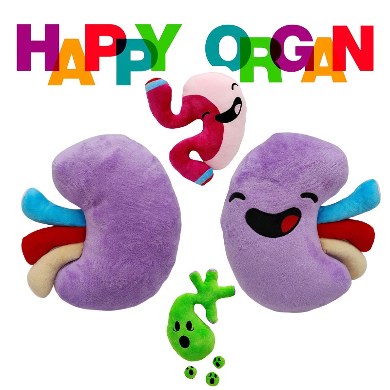 22 cm Happy Organ Ginjal Mainan Mewah Organ Tubuh Boneka Lembut Edukasi Kesehatan Mainan Anak Hadiah