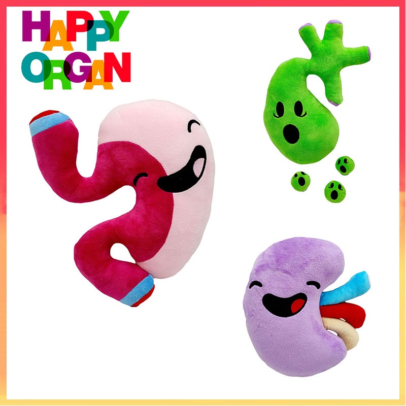 22 cm Happy Organ Ginjal Mainan Mewah Organ Tubuh Boneka Lembut Edukasi Kesehatan Mainan Anak Hadiah