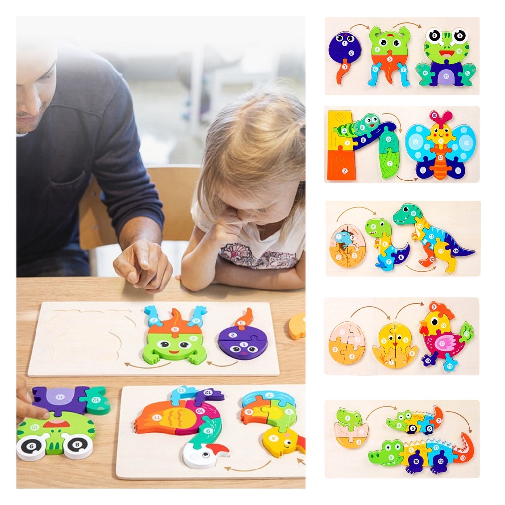 Animal Evolution Board Untuk Pengenalan Dan Pemecah Puzzle Anak