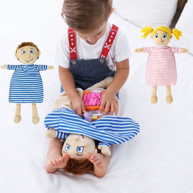 Puzzle Struktur Tubuh Mewah Lucu Cocok Untuk Anak Usia 4-6 Tahun