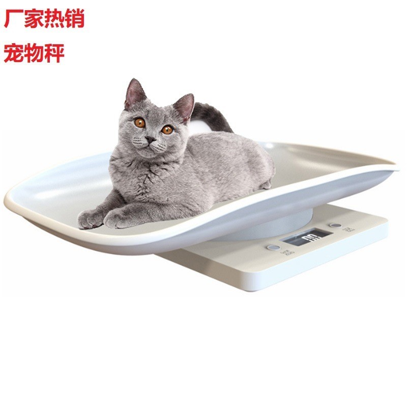 Timbangan Dapur Mini Hot untuk Hewan Peliharaan 15KG, Elektronik, Paket Pos, Makanan Anjing Kucing, 