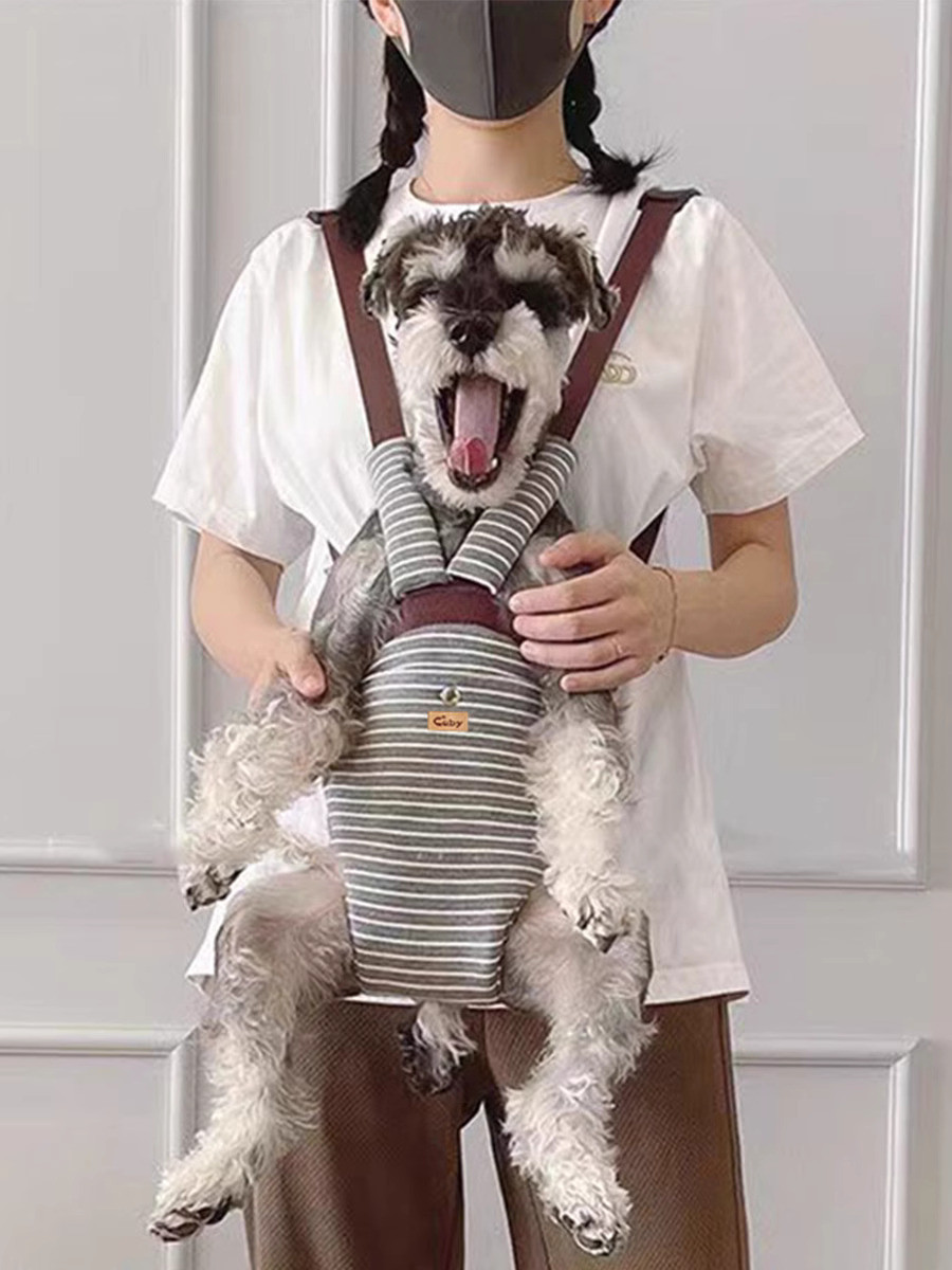 Tas anjing, anjing portable untuk keluar, sepeda, tali dada, beruang teddy, tas punggung hewan pelih