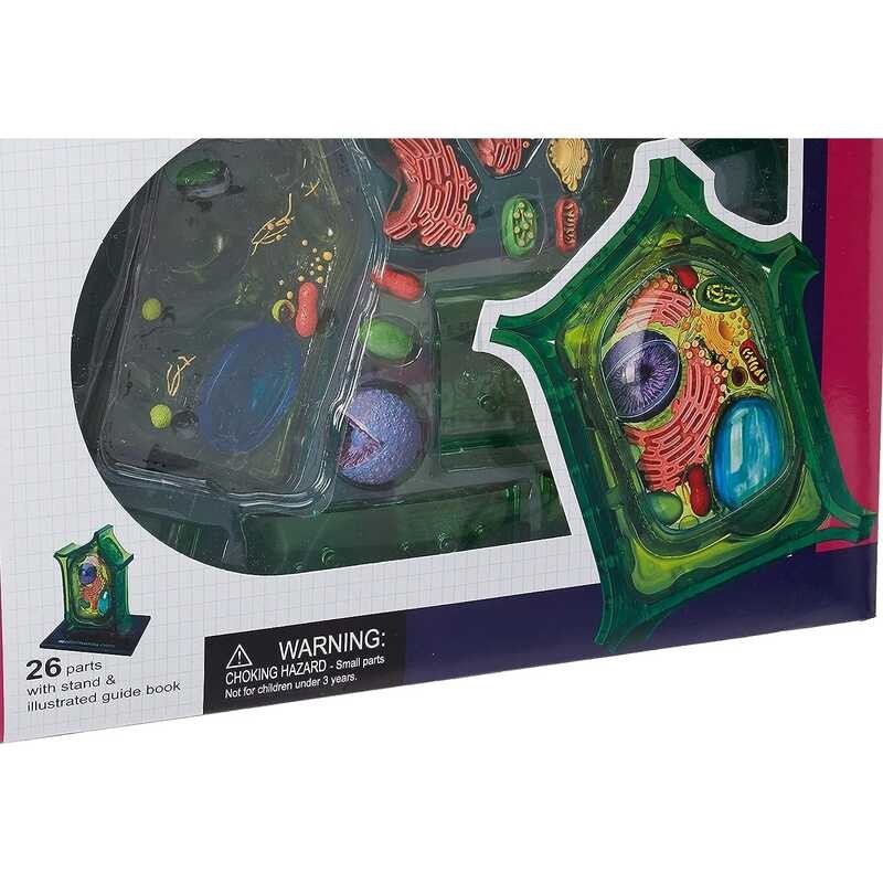 ￥ 4D-Science Plant Cell Anatomy Model