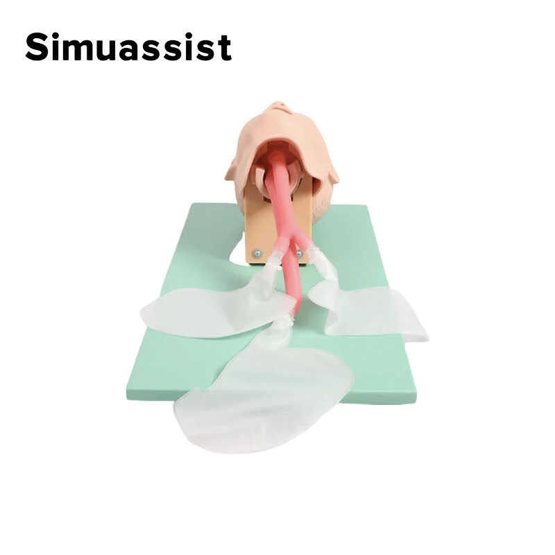 ￥ Anak-Anak Advanced Tracheal Intubation Model, Child Airway Intubation Manikin