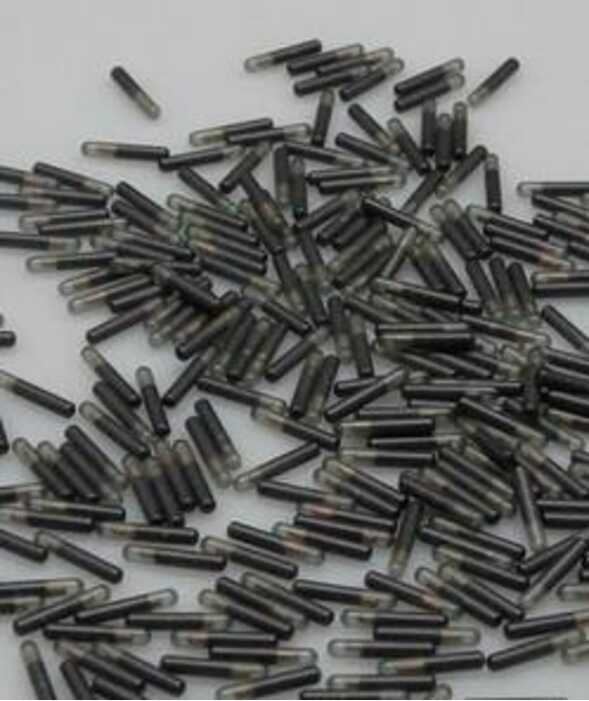 

transponder identifikasi hewan 134.2KHz RFID tag 100 PCS banyak