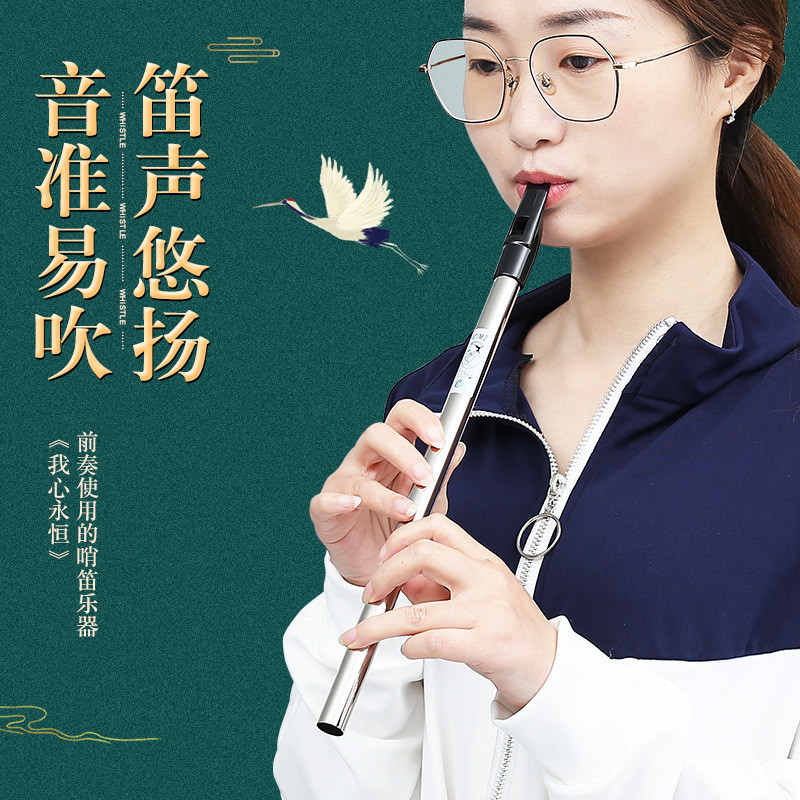 Instrumen Alat Musik Tiup  Peluit Irlandia C dan D pemula, pertunjukan profesional anak-anak, rekama