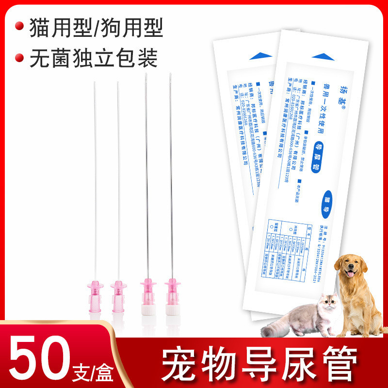 Aksesoris Hewan Peliharaan  Kateter hewan peliharaan, hewan, batu, kucing, kateter urinar anjing