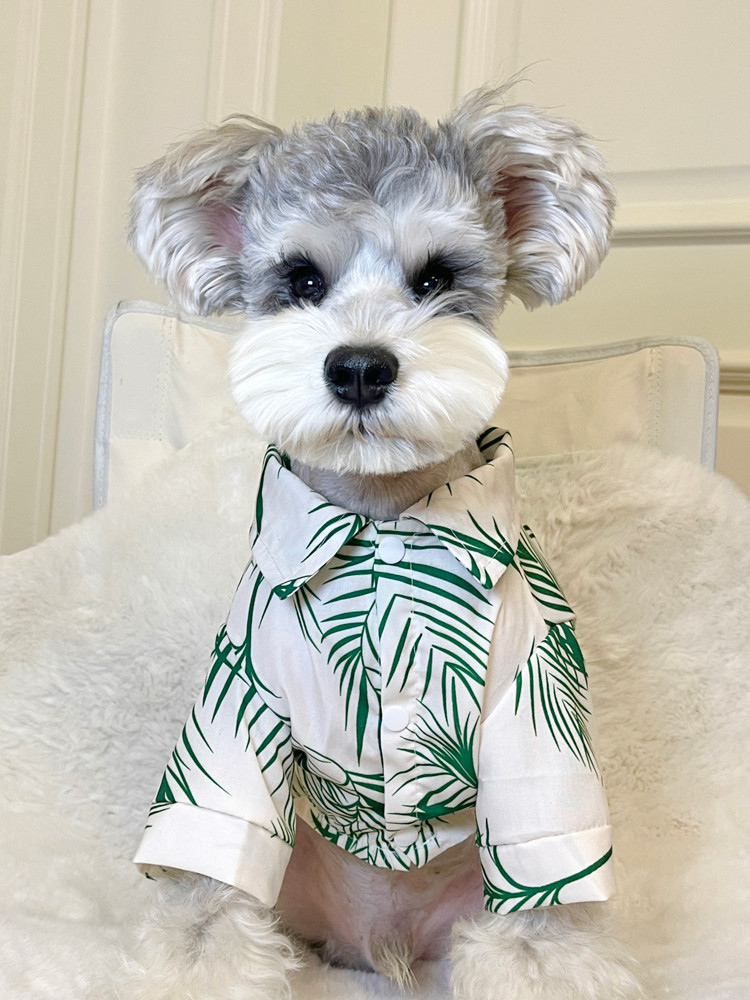 kecil musim panas peliharaan baju Teddy Schnauzer  Pomeranian Celebrity Pakaian anjing tipis