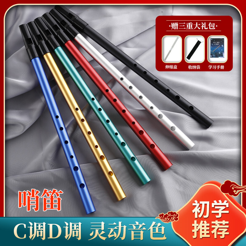 Alat Musik Tiup  Instrumen musik baru: wisel Irlandia C/D wisel, vertikal siswa, flute, instrument f