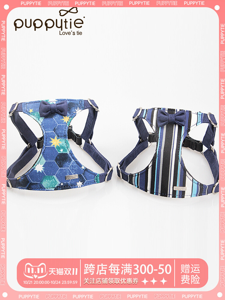 berjalan, anjing kecil, satu sampai dua tali, kucing lucu, kucing, tali anjing, gaya vest