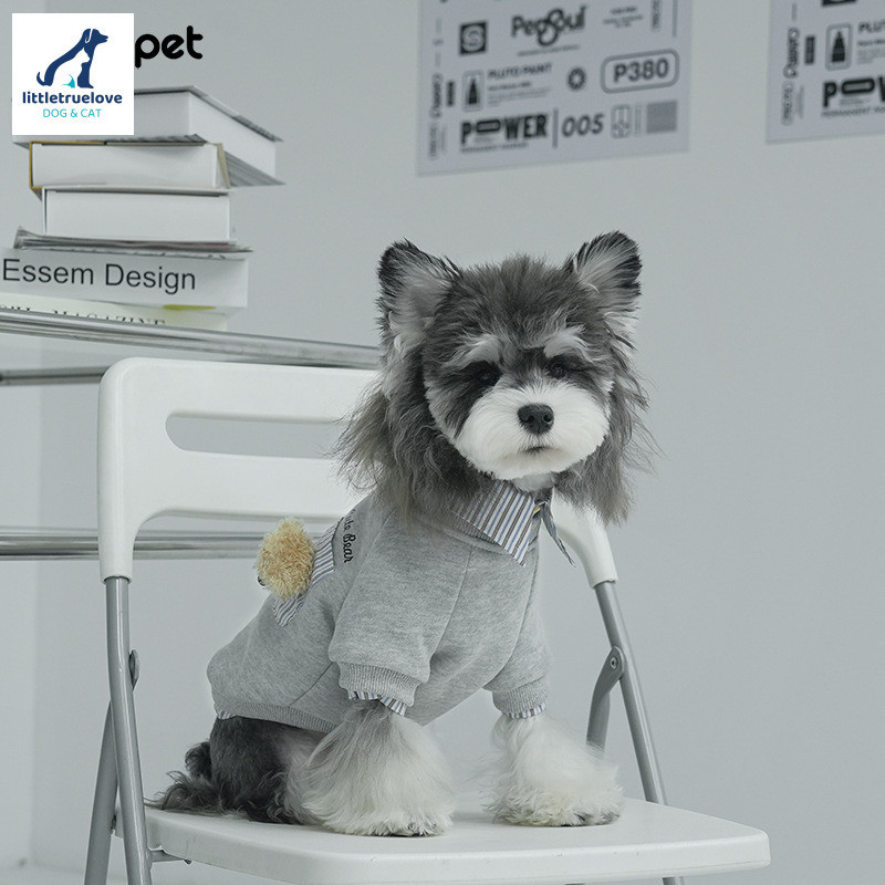 Musim gugur dan musim dingin teddy bear hoodie, potong palsu lapel base, Schnauzer dua kaki pakaian,