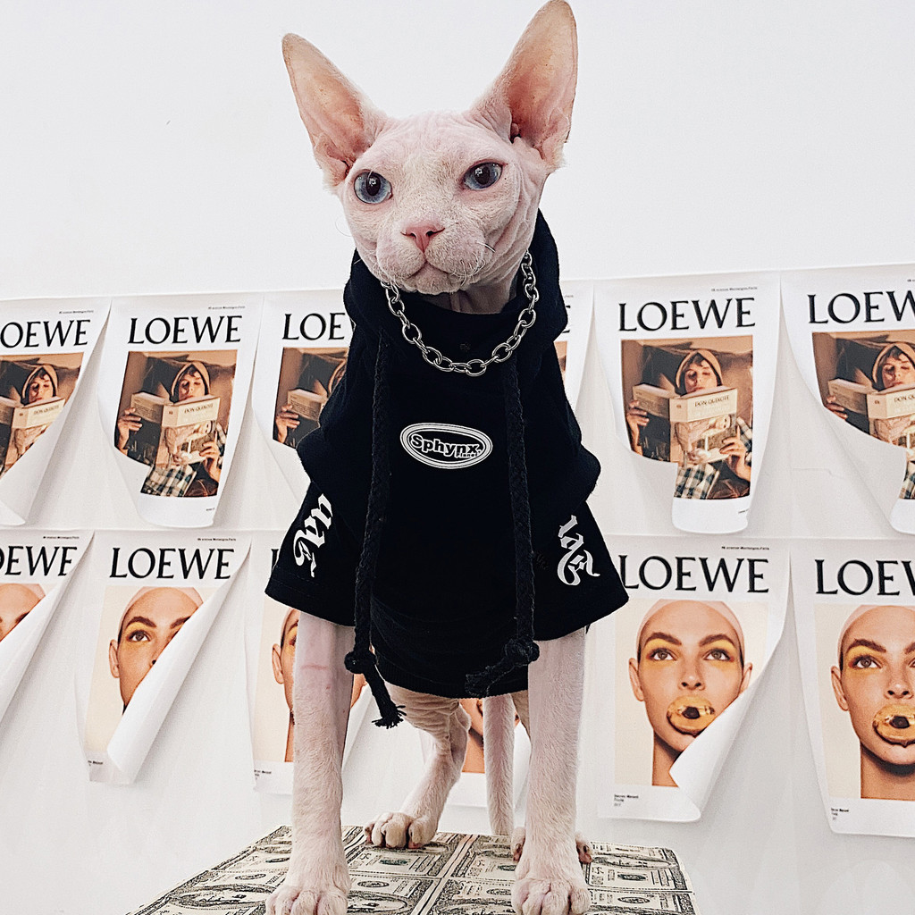 Pakaian Jerman, tanpa rambut, perhiasan Sphinx, baja tidak meleleh, versatile, kalung kucing trendy,