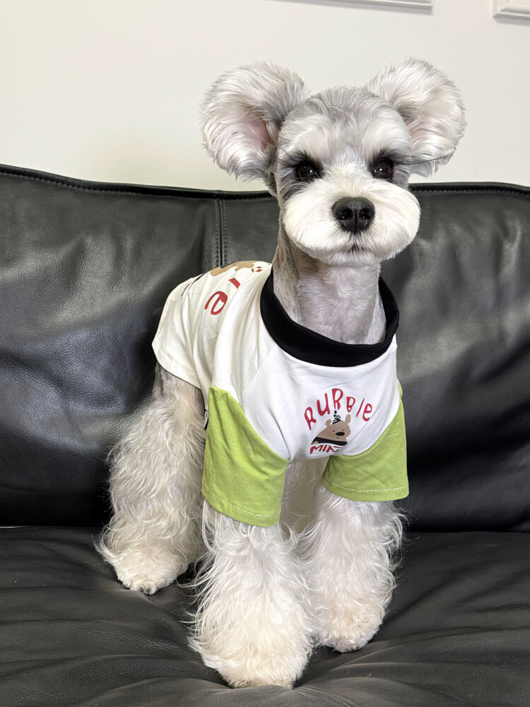 Musim panas hewan peliharaan Gelap Splicing putih hijau T anjing kecil Schnauzer Pomeranian Teddy be