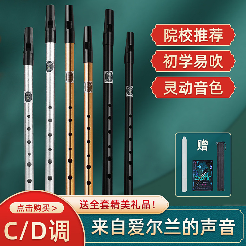 Alat Musik Tiup  Pemula wisel Irlandia, vertikal, flut tin, C-key, D-key flute, pertunjukan profesio