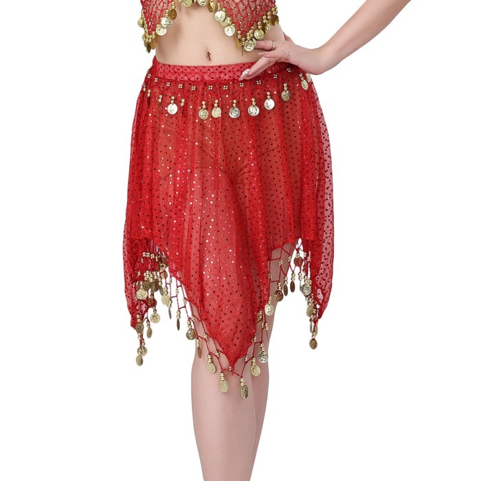 Sequin Dance Skirt, Belly Dance Skirt, Stage Performance Costume, Performance Costume, Sequin Skirt