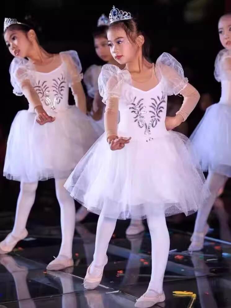Baju Balet Tari Balet Mengembang Rok Tulle Putih Gaun Putri Anak Kostum Pertunjukan Import