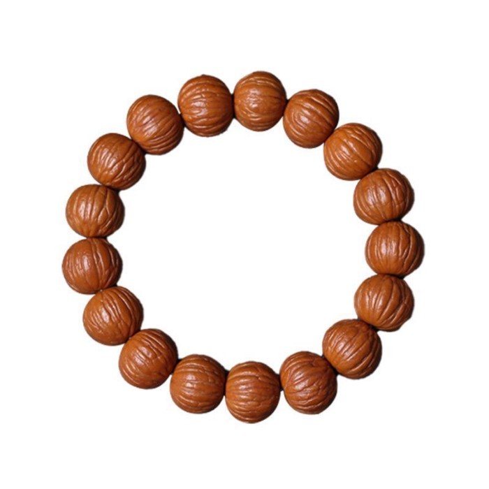 Bahan Kelas Kelulusan Liar Feng Yu Taipan Lokal Kepala Hericium Jingba Tulang Rusuk Kulit Asli Kenar