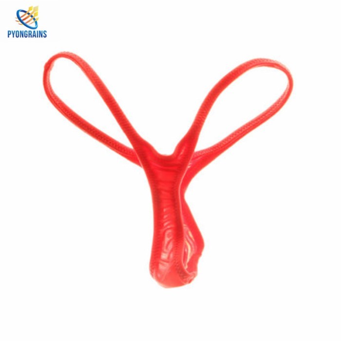 New Men's Thong Breathable Sexy Thong Underwear Men's Underwear Thin Nylon Stretch T-pants Comforta