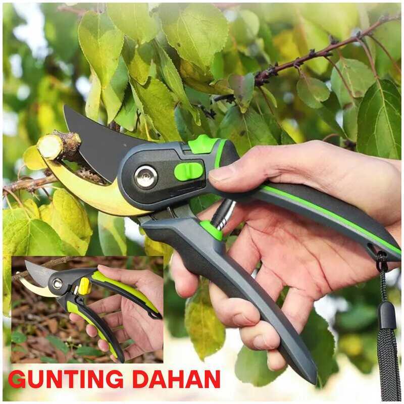 Gunting Ranting Dahan Pohon Puring Super Tajam