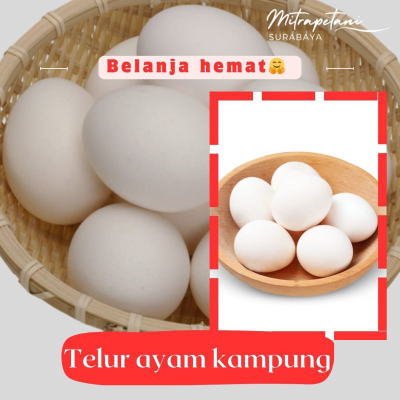 

Telur ayam kampung/telur ayam kampung isi 2 pcs