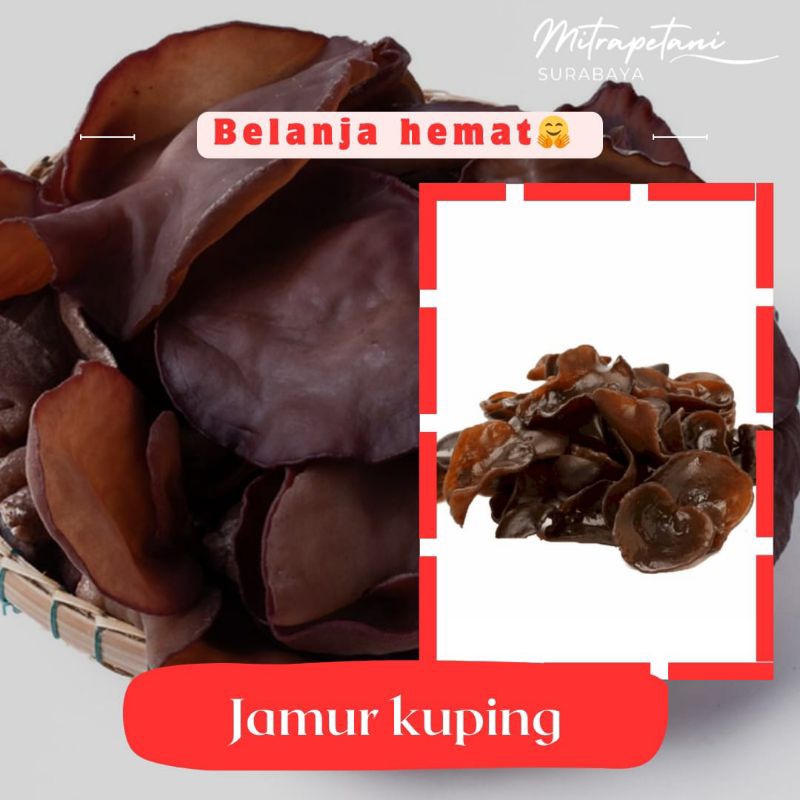 

Jamur kuping 100 gram/jamur kuping fresh