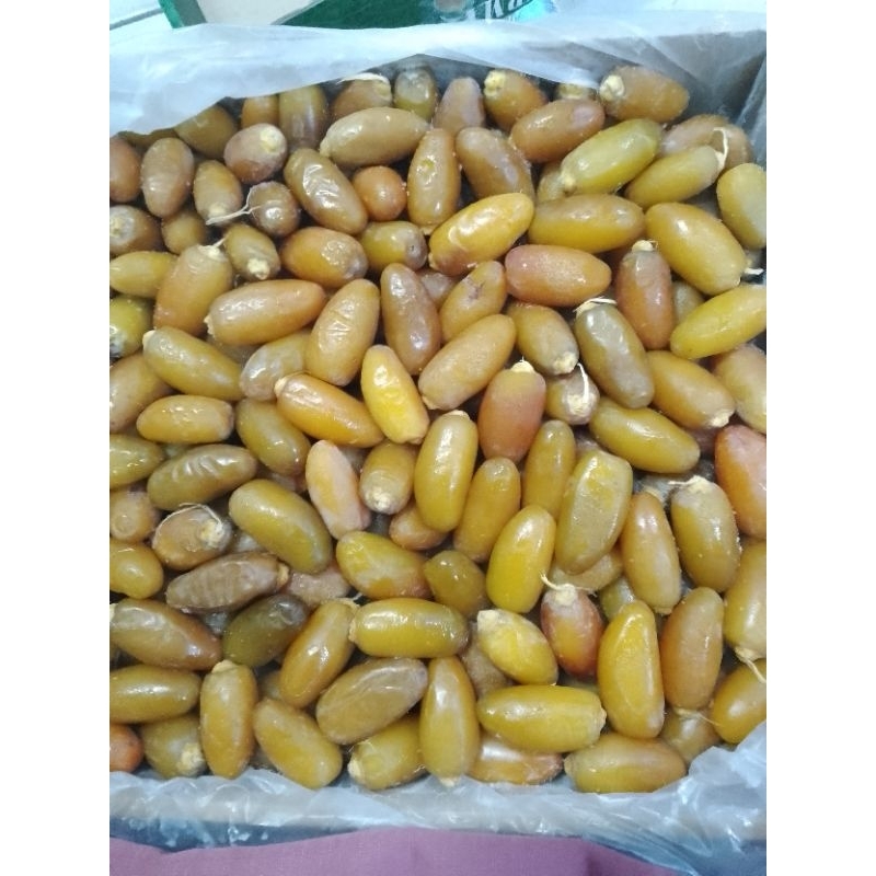 

KURMA RUTHOB LIBYA FROZEN PROMIL 1 KG KEMASAN THINWALL