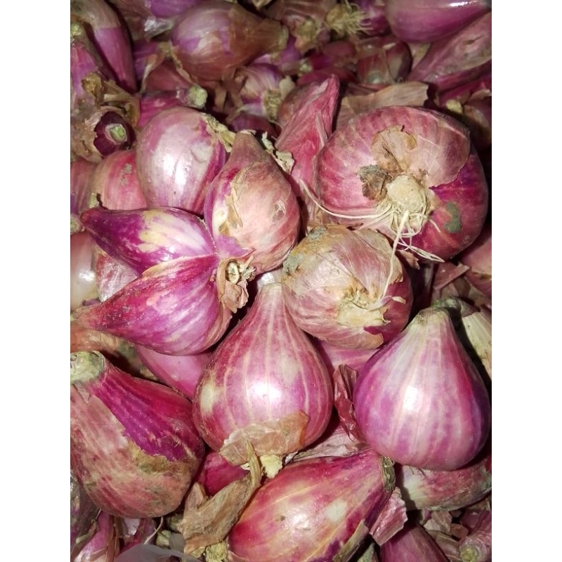 

bawang merah super 250gr