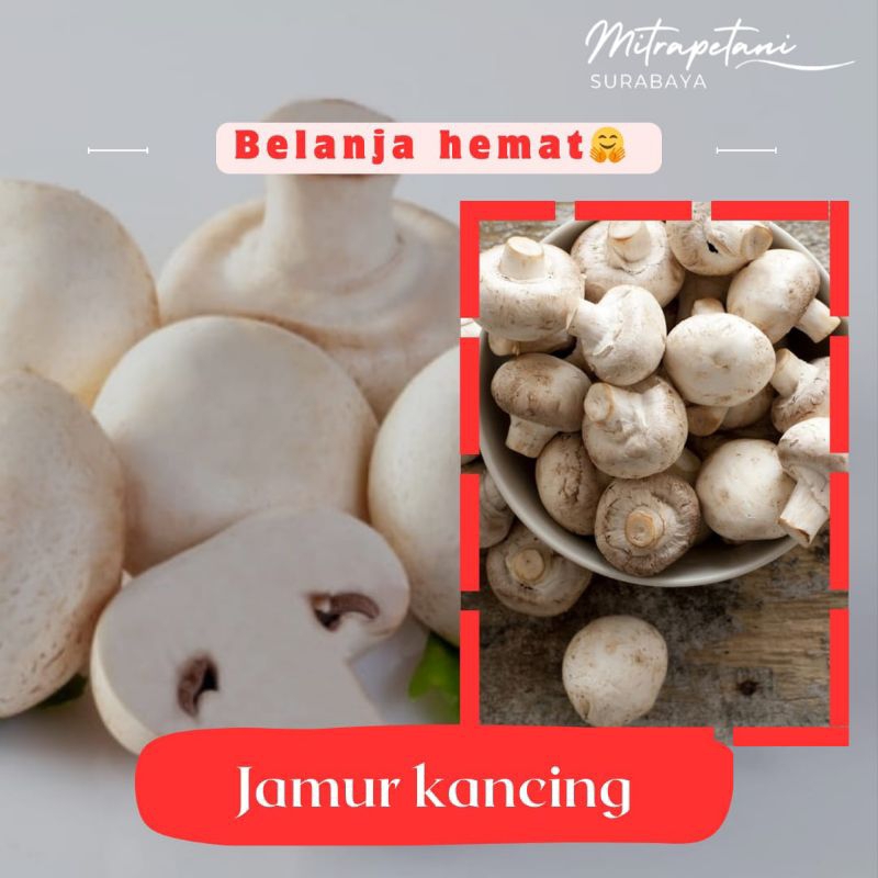 

Jamur kancing 100 gram/jamur kancing fresh