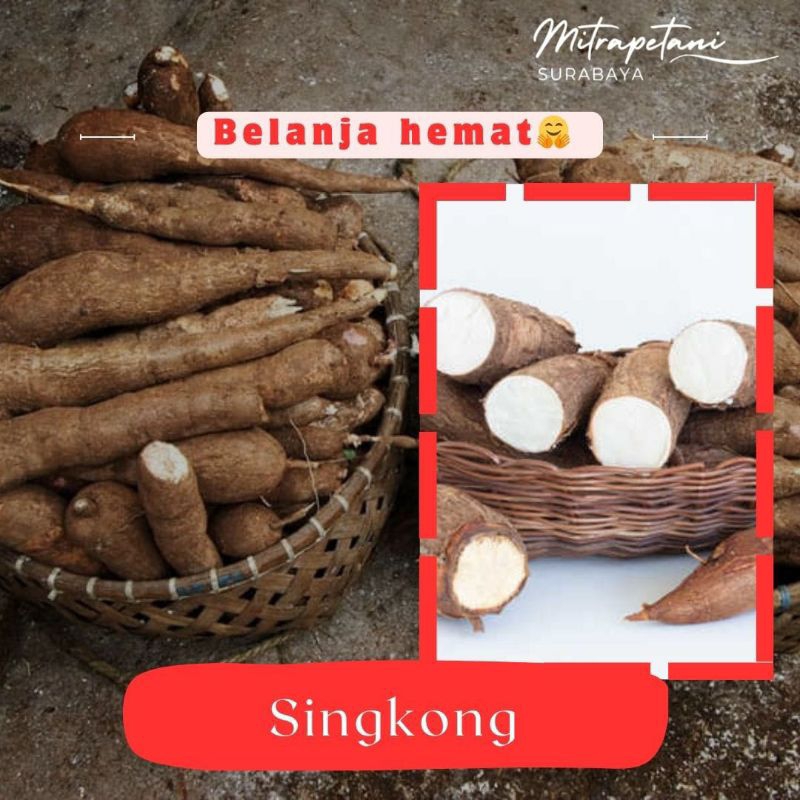 

Singkong/singkong ubi/singkong segar 500 gr