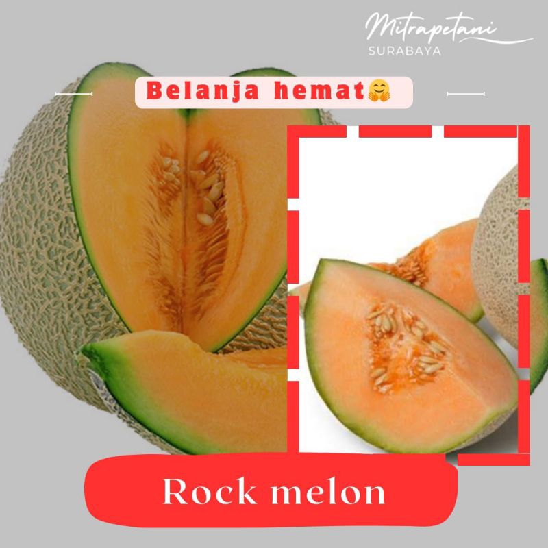 

Rock melon/melon orange/rock melon segar/buah segar