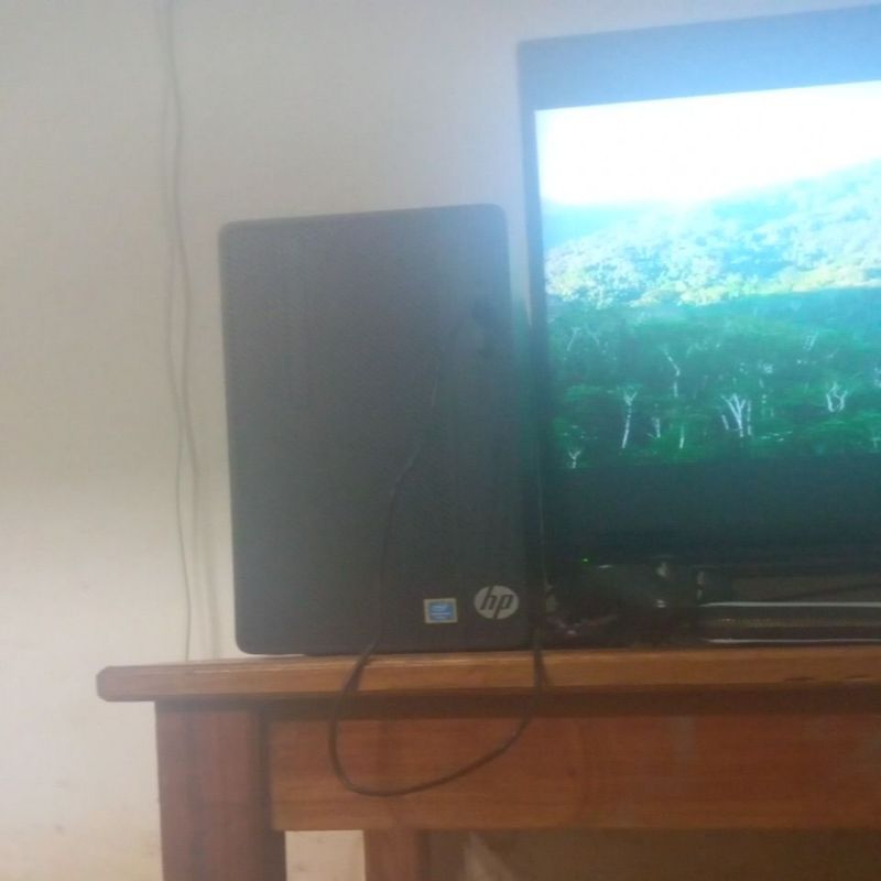 pc hp intel pentium g4560