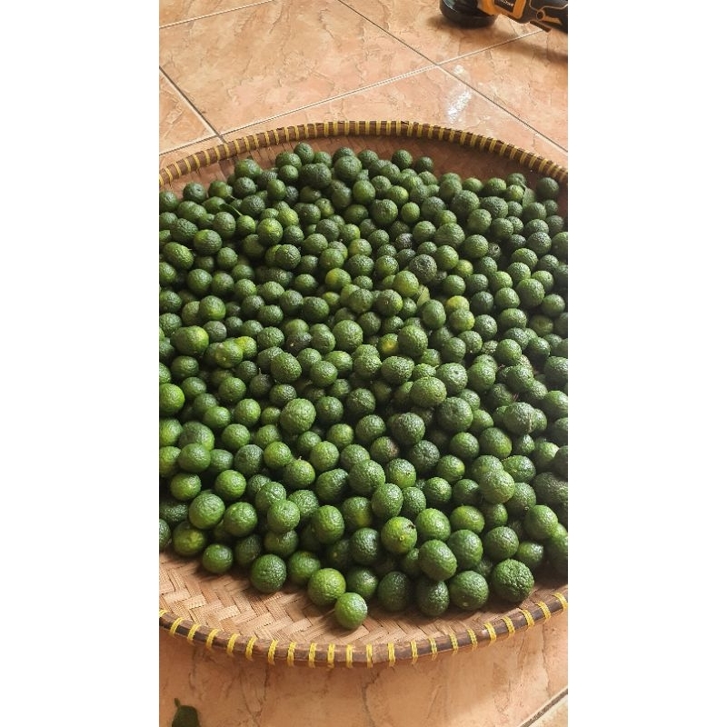 

jeruk limo fress 1 kg
