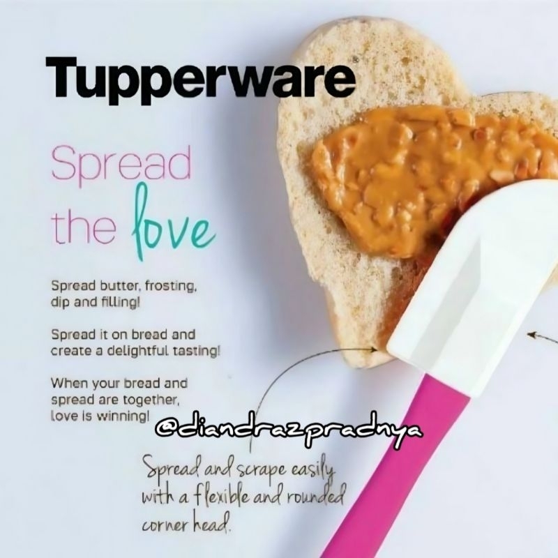 Mini Spatula Tupperware