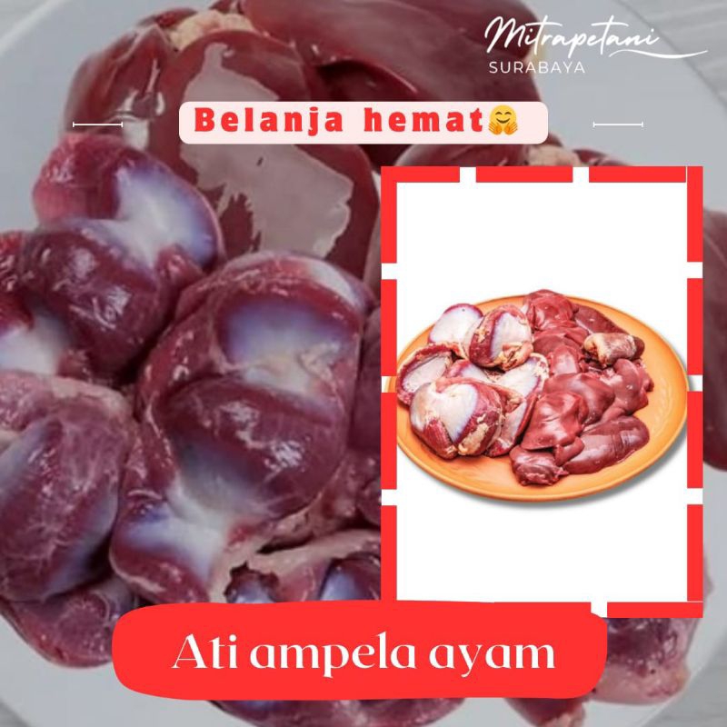 

Ati ampela ayam 250 gram/ati ampela/lauk pauk